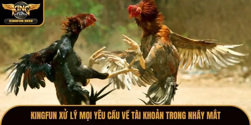 Kingfun xử lý mọi yêu cầu về tài khoản trong nháy mắt